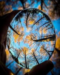 зависит все что в мире есть от поднебесной выси 40 Macro Photography Ideas At Home Photography Ideas At Home Macro Photography Reflection Photography