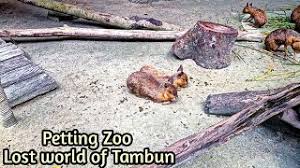 The lost world of tambun (lwot) is a theme park and hotel in sunway city ipoh, tambun, kinta district, perak, malaysia. Petting Zoo Lost World Of Tambun Youtube
