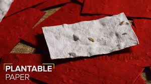 Once shredded, place it in your bowl of water to soak for about an hour. Plantable Paper Youtube