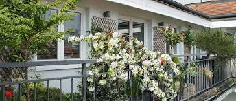 Sie können nicht immer zu investieren eine menge geld und erhalten neu möbel für sie regenerieren a schau. Zwergbaum Baumchen Fur Balkon Oder Terrasse