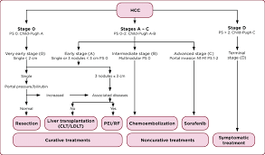 When cancer starts in the liver, it is called liver cancer. Barcelona Clinic Liver Cancer Bclc Staging Including Strategies For Download Scientific Diagram