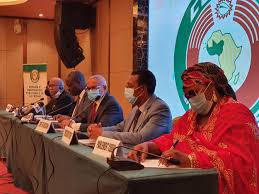 Guinee Election Presidentielle 2020 Communaute Economique Des Etats De L Afrique De L Ouest Cedeao