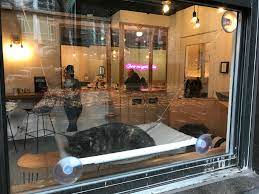The coffee is delicious and so beautifully decorated. Neko A Cat Cafe Intentionalist