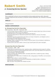 convenience store clerk resume samples