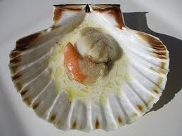 La noix de st jacques est aussi excellente en carpaccio. Coquille Saint Jacques Wikiwand