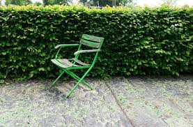 Heckenpflanzen Alle Infos Tipps Tricks Gartner Potschke In 2020 Hecke Liguster Pflanzen Pflanzen