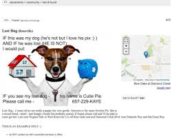 Texas woman put up hundreds of posters after she lost her pet dog. Craigslist Mn Pets