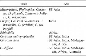 Image result for Schinziella tetragona