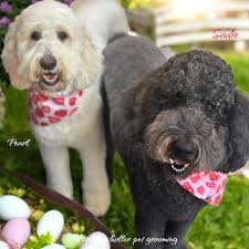 Howling Holler Pet Grooming