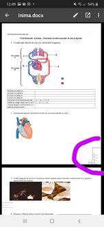 Dragi adulti.propun aceasta tema.de ce?pentru ca sunt doar un copil de 14 ani care adora anumite!!!atentie anumite desene animate??voi va mai uitati la asa ceva?ce desene erau pe vremuri?ce desene va plac acum?va plac?va enerveaza?sa auzim. Create Meme The Systemic Circulation Ends The Pulmonary Circulation Circles Of Blood Circulation Pictures Meme Arsenal Com