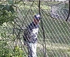 A walmart market is less than 2 miles from park and a walmart supercenter is like 5 miles away if you need supplies. Gold Creek Foods Claims Chicken Parts Were Planted On Robinson Playground Dawson County News