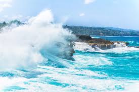 Chariezared Leaks Service-Driven - Exclusive Content Revealed