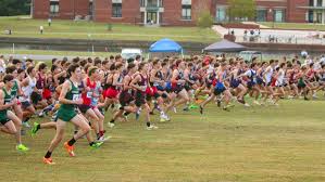 Who Won the Week: All Boys Ranked!