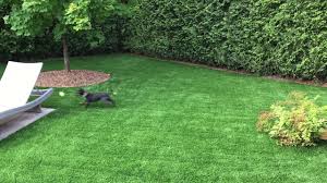 Do you own a pet? Synthetic Turf For Dogs And Pets