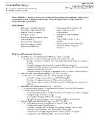 business administration resume summary