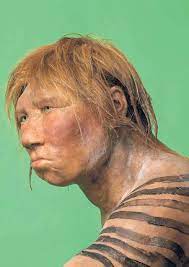 Die neandertaler gehörten zum stammbaum des modernen menschen (homo). Spezialwerkzeuge Neandertaler Naturwissenschaften Essays Im Austria Forum