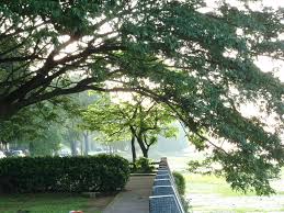 Kepala bergetar astro ria tv3 dramas. Tempat Menarik Di Johor Bahru Pantai Lido Makan Angin Jalan Jalan Cuti Cuti