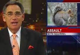 Woman stabbed spouse with ceramic squirrel over beer. Assault With A Deadly Squirrel Wtf Video