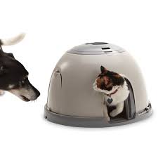 Maybe you would like to learn more about one of these? Dog And Cat Feeding Station