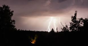 Gammal skada på träd orsakat av blixtnedslag. Aska Och Vanliga Askskador Lansforsakringar