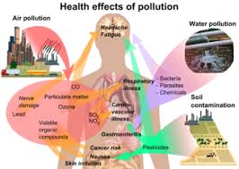 pollution wikipedia