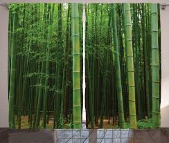 Browse our selection of bamboo shoots art prints and find the perfect design for you—created by our community of independent artists. Ubuy Uae Online Shopping For Bamboo Shoots In Affordable Prices