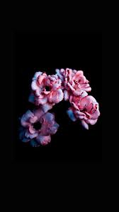 Maybe you would like to learn more about one of these? Flower Wallpaper Kolpaper Awesome Free Hd Wallpapers