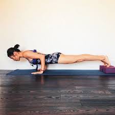 Chaturanga Dandasana Iyengar Yoga Yoga Poses Advanced Yoga