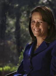 La hoy candidata a diputada federal de va por méxico afirma que la oposición necesita ganar la cámara y generar contrapesos frente al gobierno, al que acusa de pasar sobre los límites democráticos. La Esposa Del Expresidente Calderon Busca Un Lugar En El Congreso Mexicano Internacional El Pais