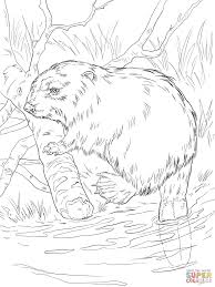 Euraziatische Bever Op Een Rivierbank Animal Coloring Books Coloring Pages Farm Animal Coloring Pages