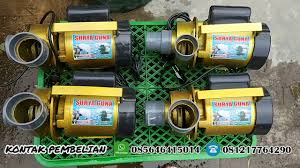 Pompa Kolam Ikan Koi Terbaik Youtube