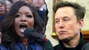Dem rep ripped after telling Musk to f--- off in viral clip: 'Classy as  ever'