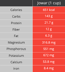 7 reasons why jowar sorghum is good for your health food