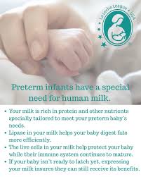Image result for Preterm Infant Growth