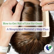 Trying to get rid of head lice and nits? A 5 Step Plan For Natural Lice Treatment That Will Kill Lice For Good