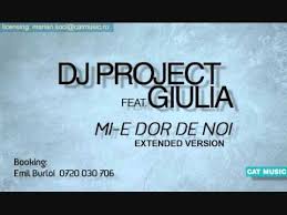 Dj Project Mi E Dor De Noi Lyrics English Translation