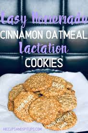 Skinny Cinnamon Oatmeal Lactation Cookies Hiccups Spitups Recipe Breastfeeding Snacks Lactation Recipes Lactation Cookies Recipe