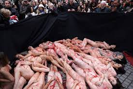 شاهد: جماعات رفق بالحيوان يتظاهرون عراة في مدريد اعتراضا على استغلال الفراء  | Euronews