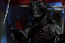 Image result for Disperis reichenbachiana