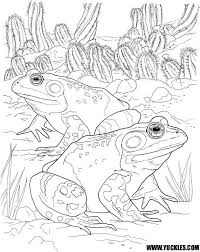 Toad Coloring Page By Yuckles Frog Coloring Pages Animal Coloring Pages Bear Coloring Pages
