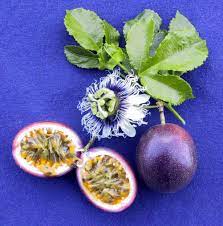 Passion Fruit Passion Fruit Plant Growing Passion Fruit Passion Flower