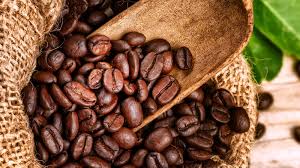 Café en grains