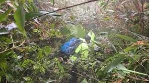 2021/06/19 14:31 東森新聞 字級： 字 字. Ulmmv44kutdofm