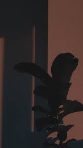 Free for commercial use no attribution required high quality images. Pin Oleh Meliihg Di Wallpaper Fotografi Seni Fotografi Abstrak Latar Belakang