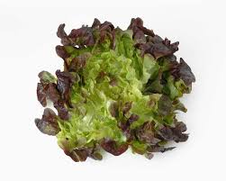 So we're making a case for putting a little more thought into your leaves. 16 Types Of Lettuce Varieties