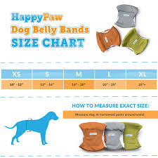Happypaw Reusable Washable Dog Belly Bands 3 Pack Durable Comfortable Stylish Dog Wraps For Male Dogs Premium Quality