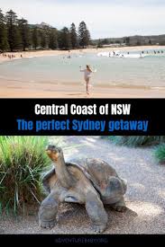 11 Things To Do On The Central Coast Nsw Central Coast Travel Fun Australia Travel