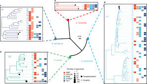 At least one of discovery.seed_hosts, discovery.seed_providers, cluster.initial_master_nodes must be. Cartography Of Opportunistic Pathogens And Antibiotic Resistance Genes In A Tertiary Hospital Environment Nature Medicine