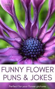 Flower Puns And Flower Jokes To Make You Smile Growing Family The best funny minion quotes ever!