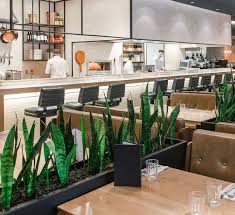 I want to apologize and take responsibility for not replacing your meal. Earls Dadeland Earls Happy Hour Kitchen Drinks Menu